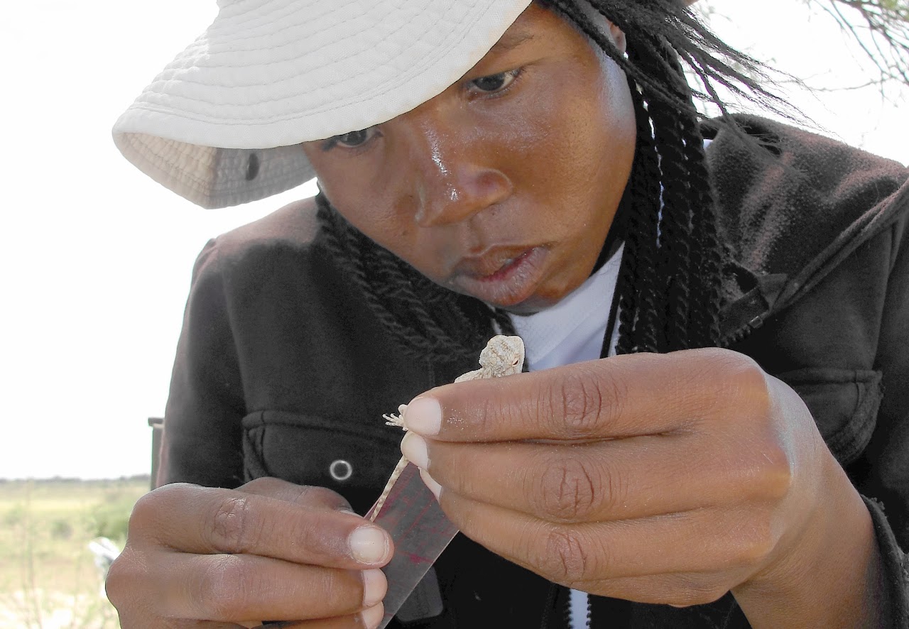 NETP — Naturalist-Ecologist Training Program