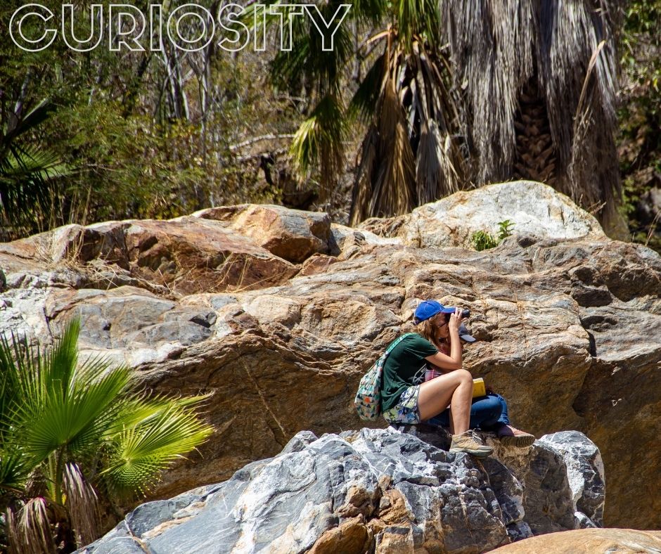 Curiosity