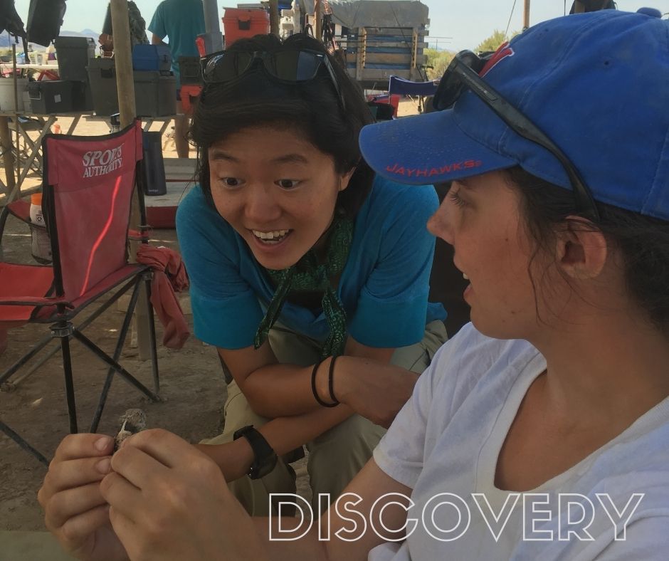 Discovery