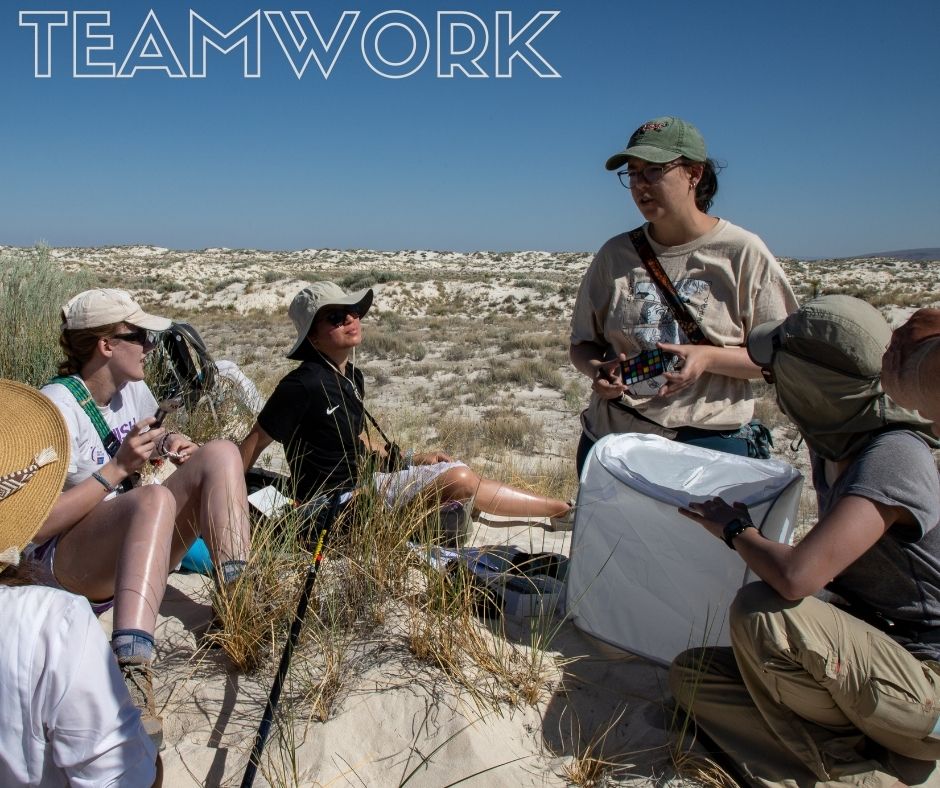 Teamwork