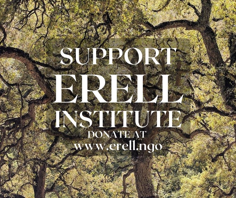 Support Erell Institute