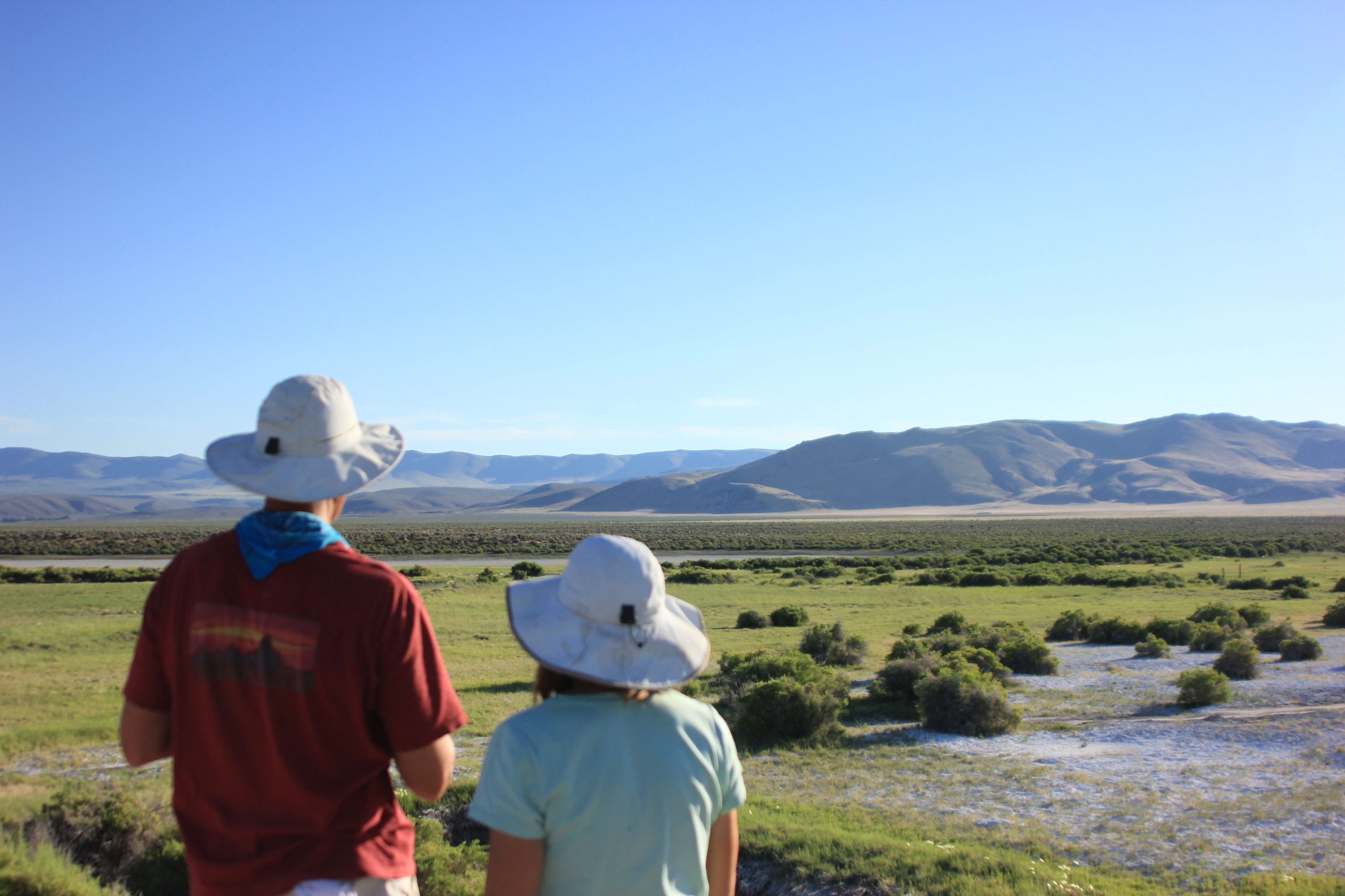 Erell Institute field research in the Chihuahuan Desert
