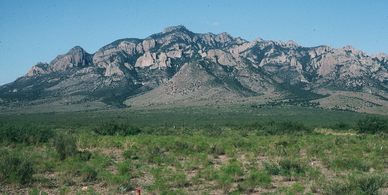 Chiricahua Mountains, Arizona