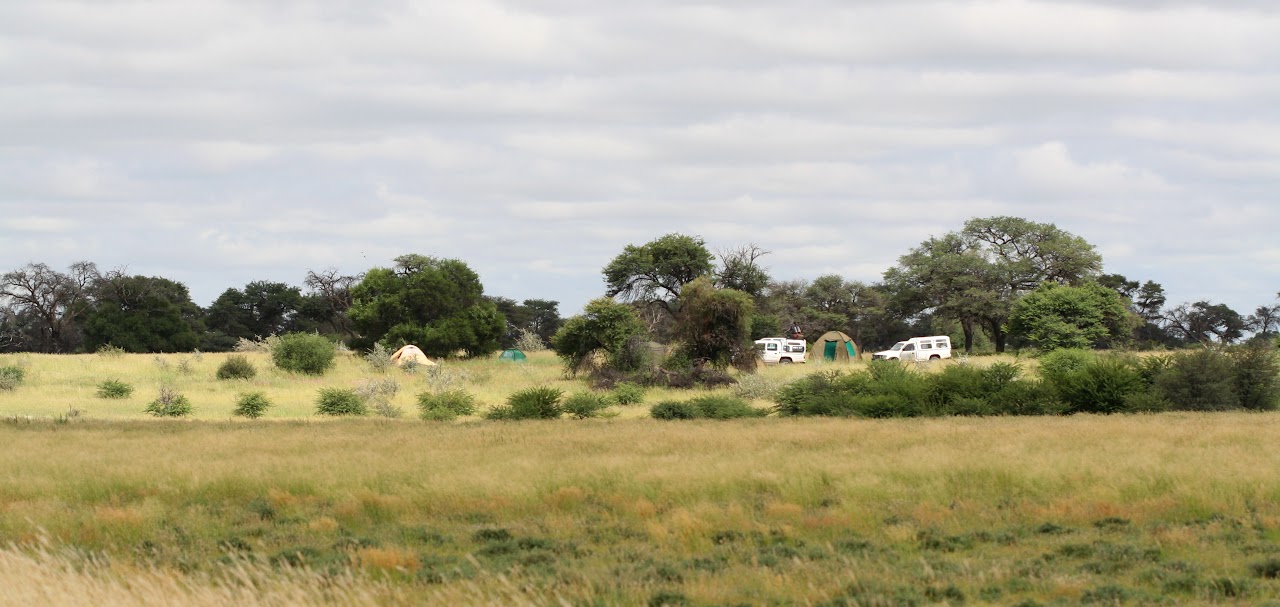 Kalahari, Botswana
